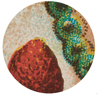 50x Magnification