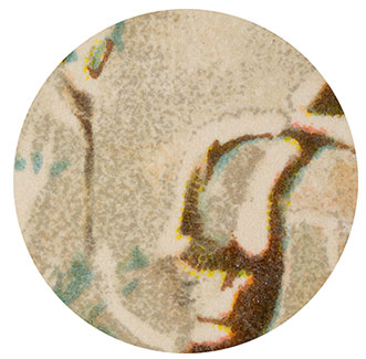 8x Magnification