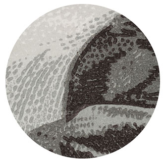 10x Magnification