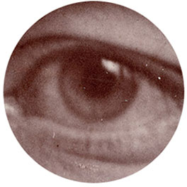 30x Magnification
