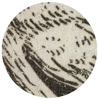 30x Magnification