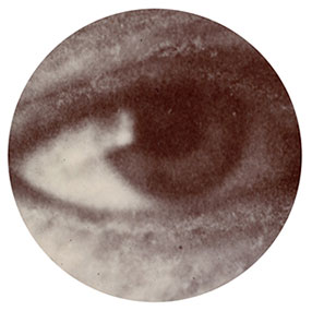 30x Magnification