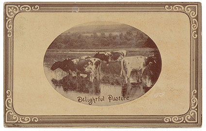 Graphics Atlas: Delightful Pasture