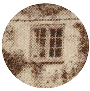 10x Magnification