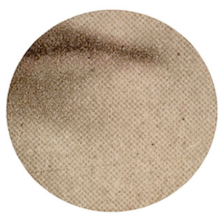 10x Magnification