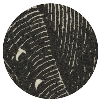 10x Magnification